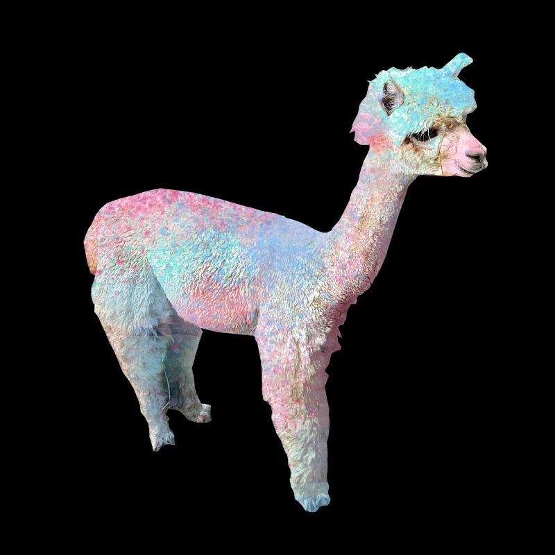 Alpaka, Llama, lama, beige,graffiti,bunt,pastell