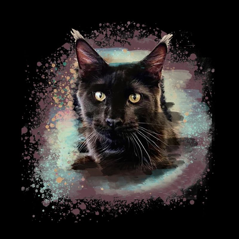 maincoon,katze,graffiti,malerei, Maine-Coon-Katze,