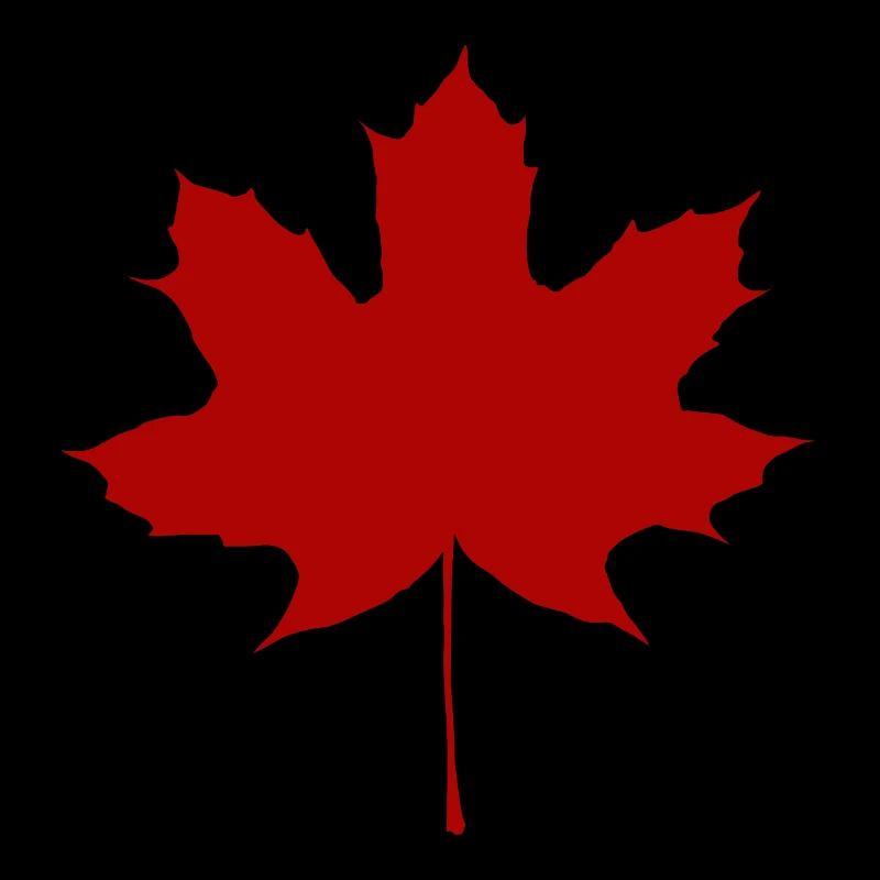 feuille d'érable