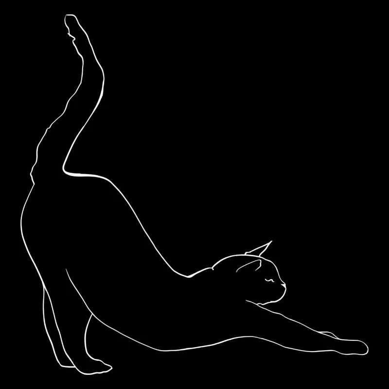Chat étirant