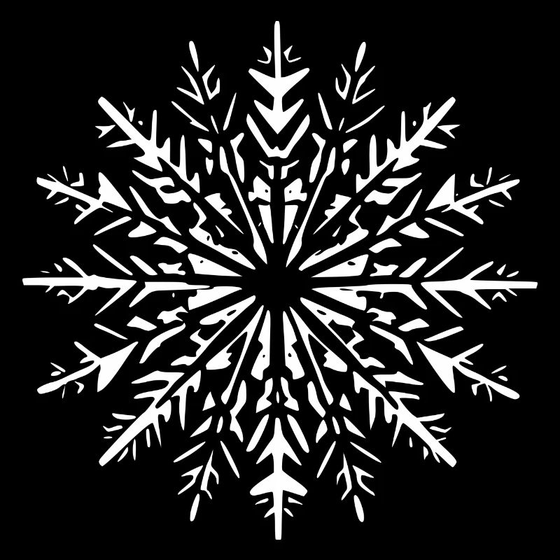 Snowflake Snow Winter Christmas Cold 1