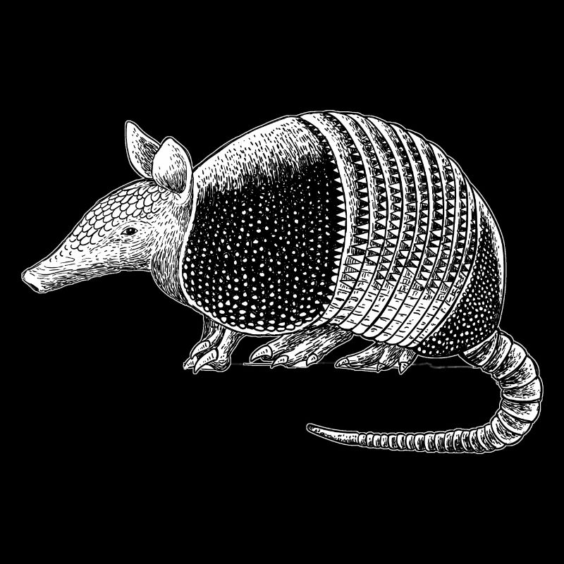 armadillo