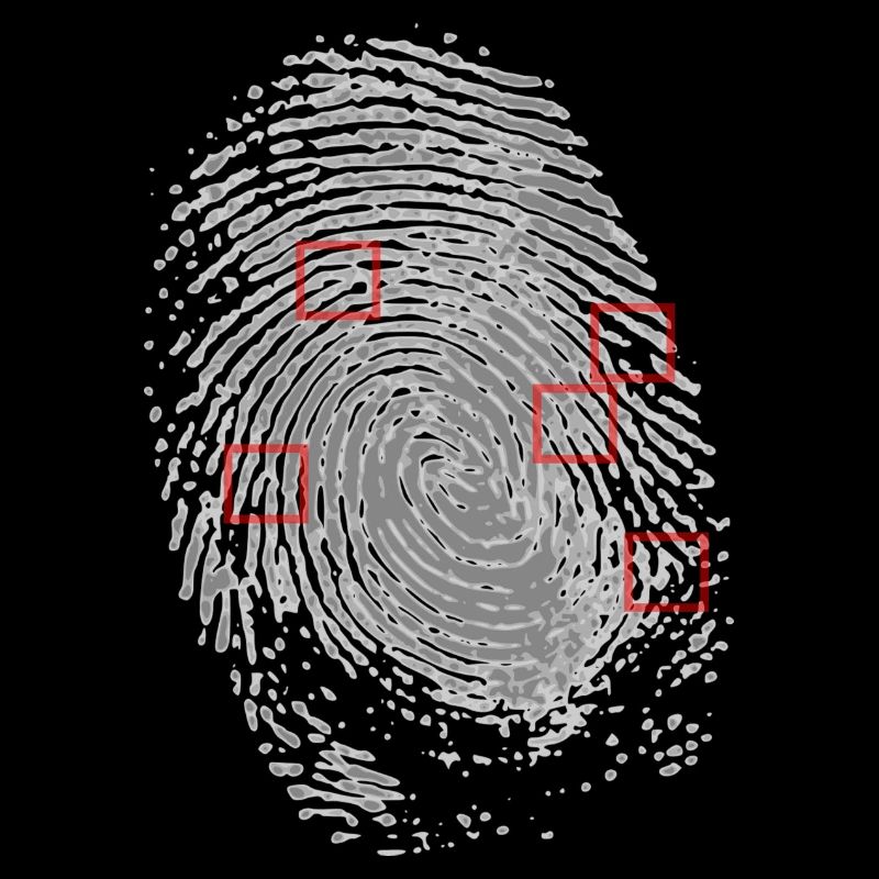 Empreintes digitales avec identification des caractéristiques.