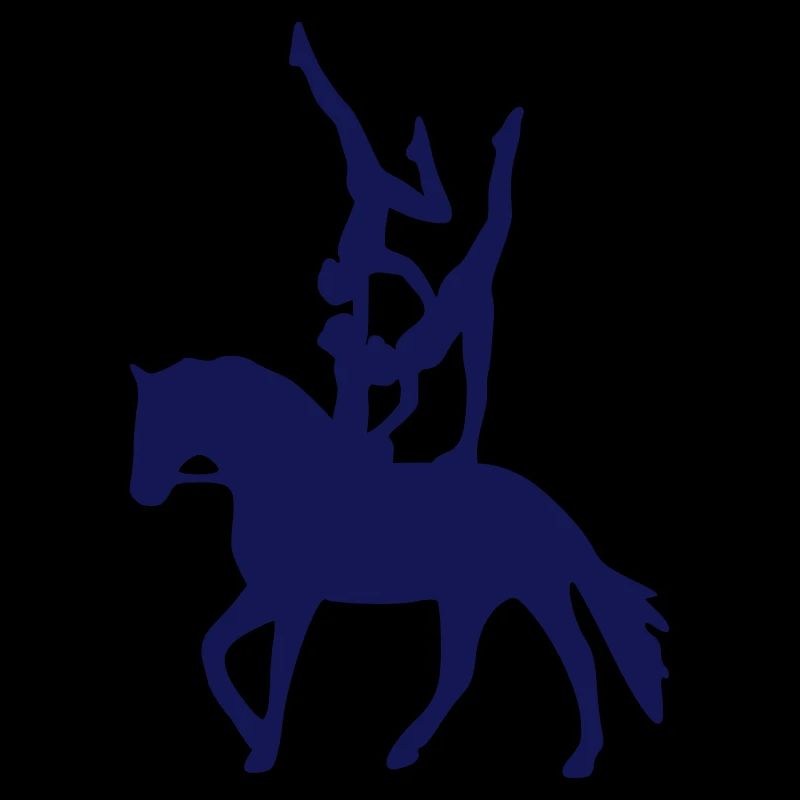 Vaulting three exercise freestyle