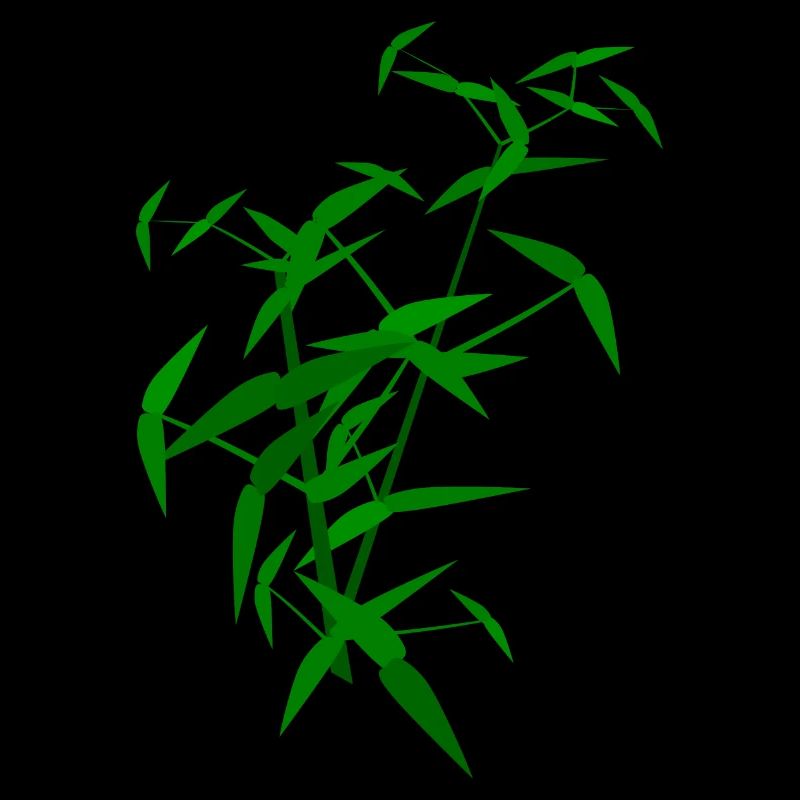 Bamboo