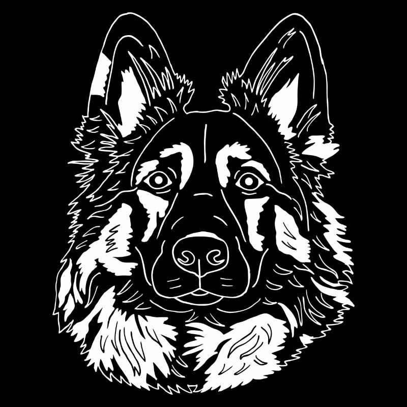 Altdeutscher Schäferhund - Harzer Fuchs Mix