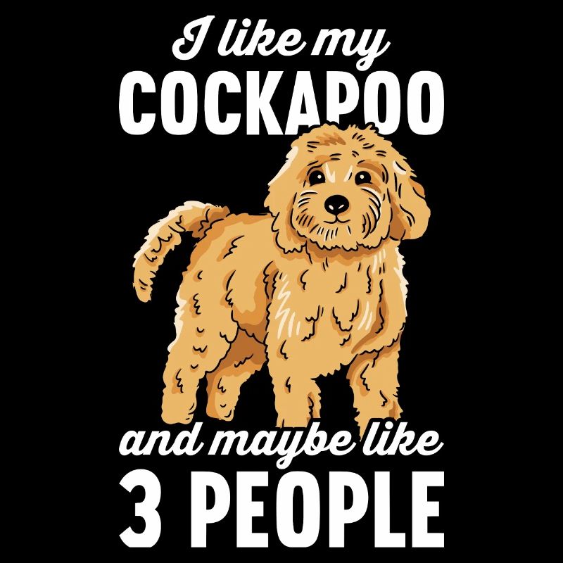Cockapoo Hund