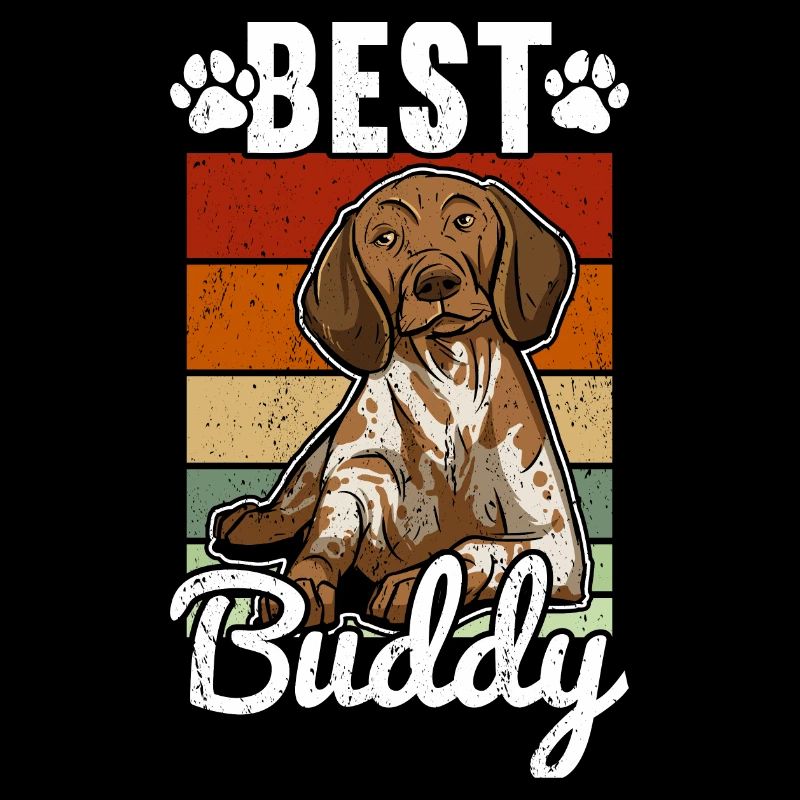 German Shorthaired Pointer Dog