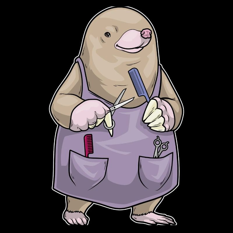 Peigne et ciseaux de coiffeur Mole