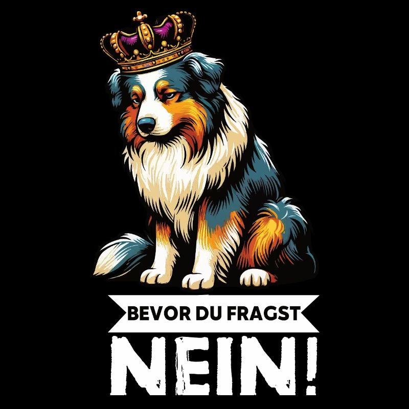 Bevor Du Fragst Australian Shepherd Aussie Aussie