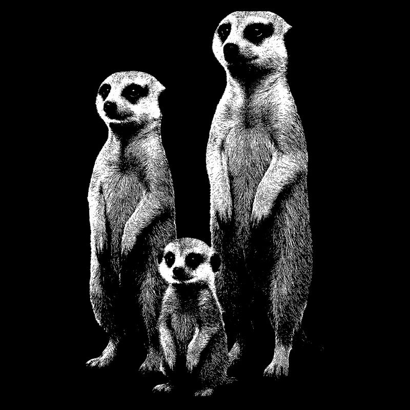 Erdmännchen hell