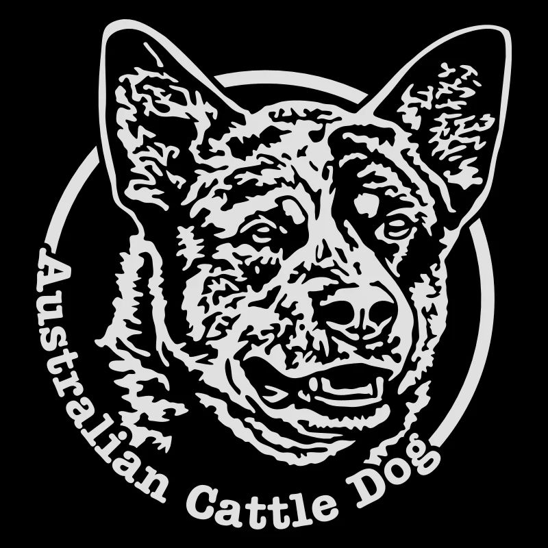 532 Australian Cattle Dog
