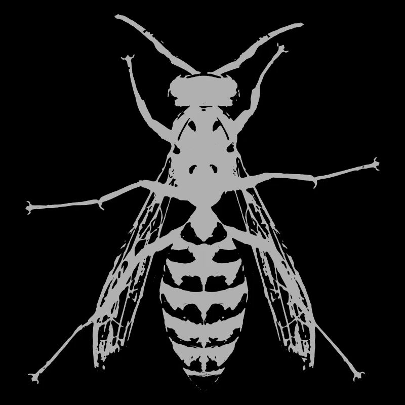 Wasp