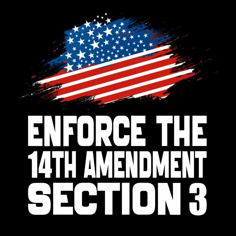 Enforce The 14TH Amendment Section 3
