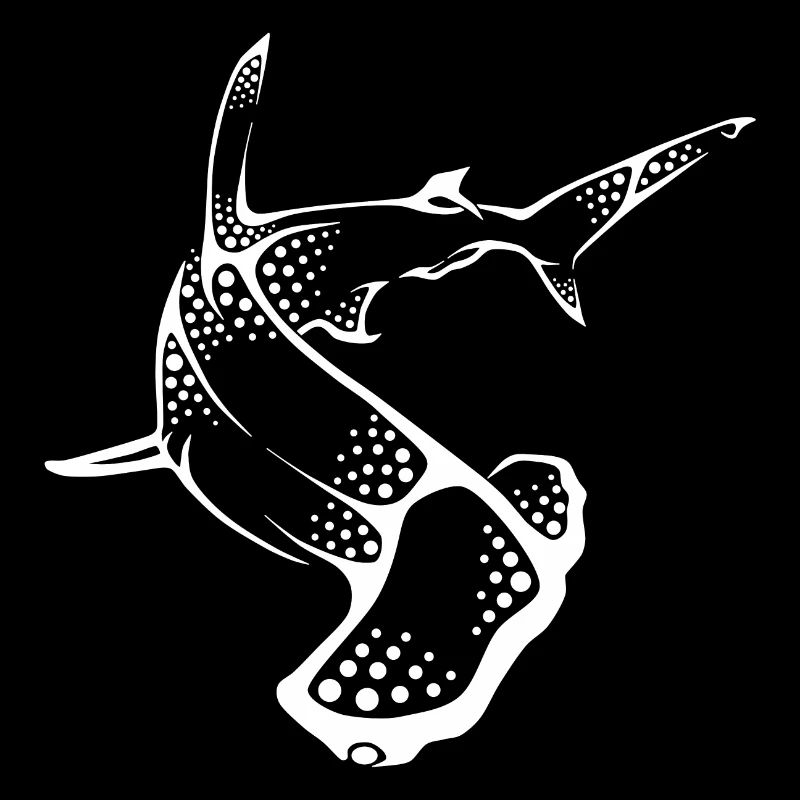 Hammerhead Shark Hai Hammerhead Dive Diving Diver