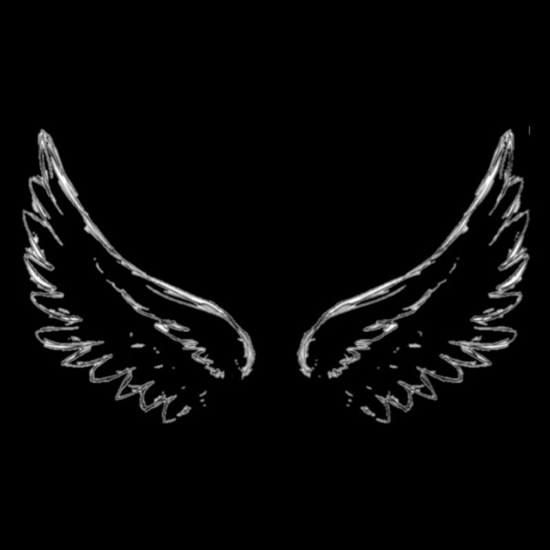 Angel wings or demon