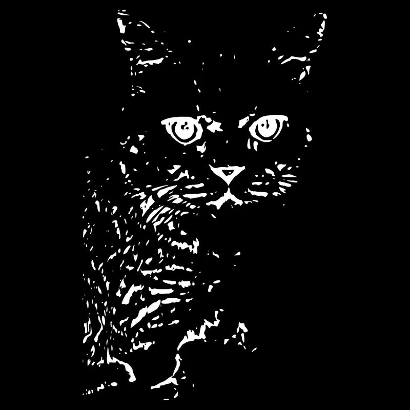 britisch Kurzhaar Katze Katze schwarz Katzen