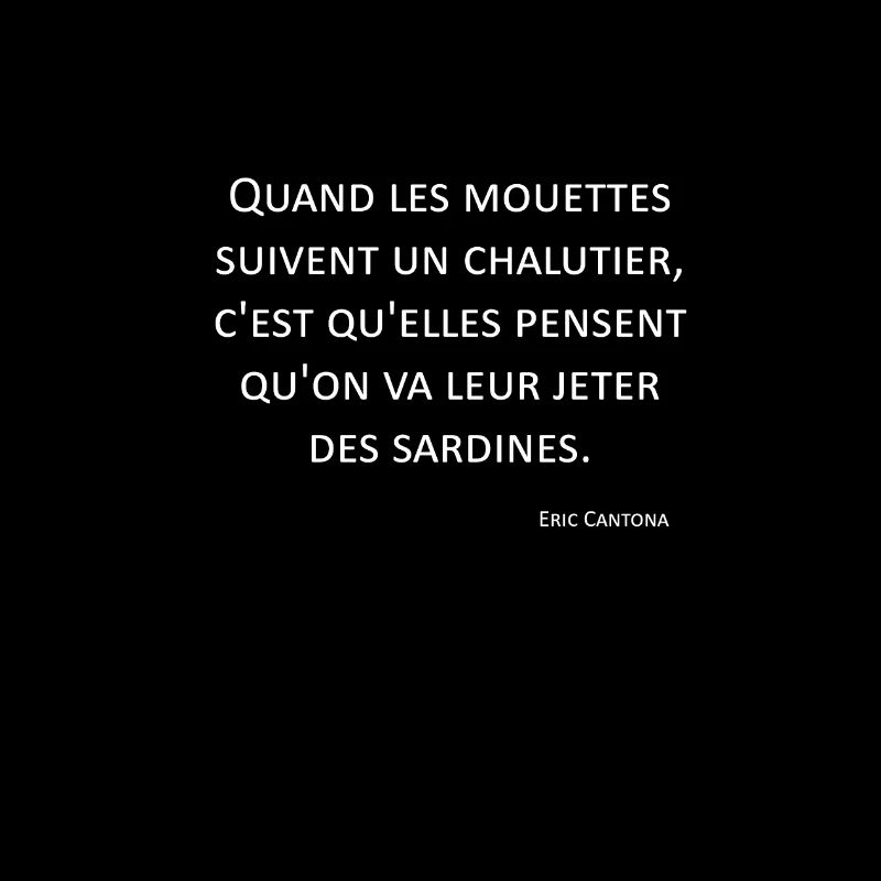 Mouettes - Eric Cantona