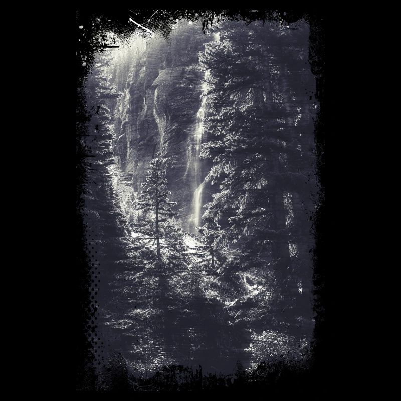 Wald Blick Landschaft