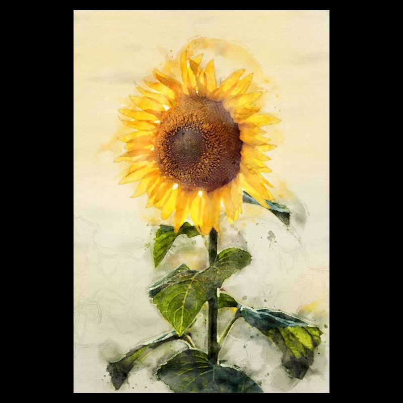 Sonnenblume in Aquarell