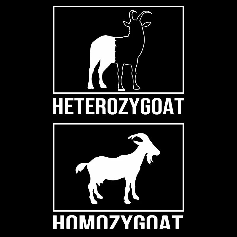 Molekül Strukturformel