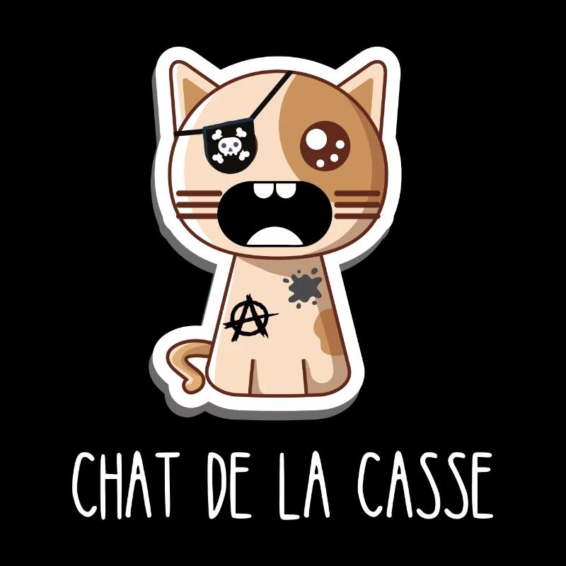 Chat de la casse