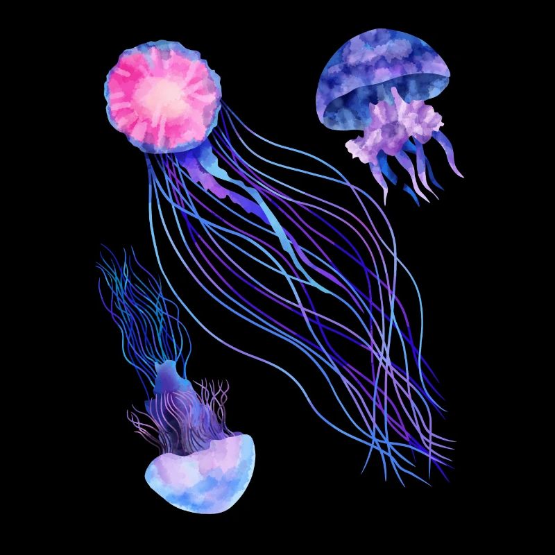 Jellyfish