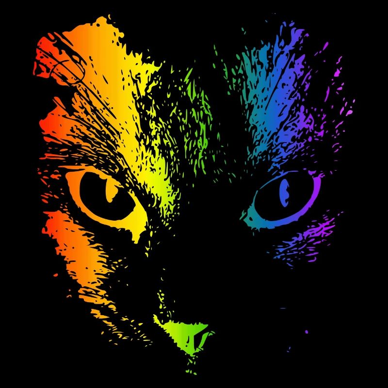 Regenbogen Katze Katzen Katzengesicht Kätzchen 3