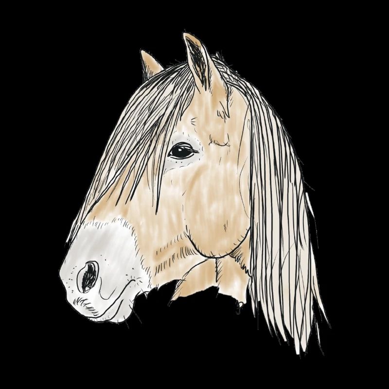 haflinger