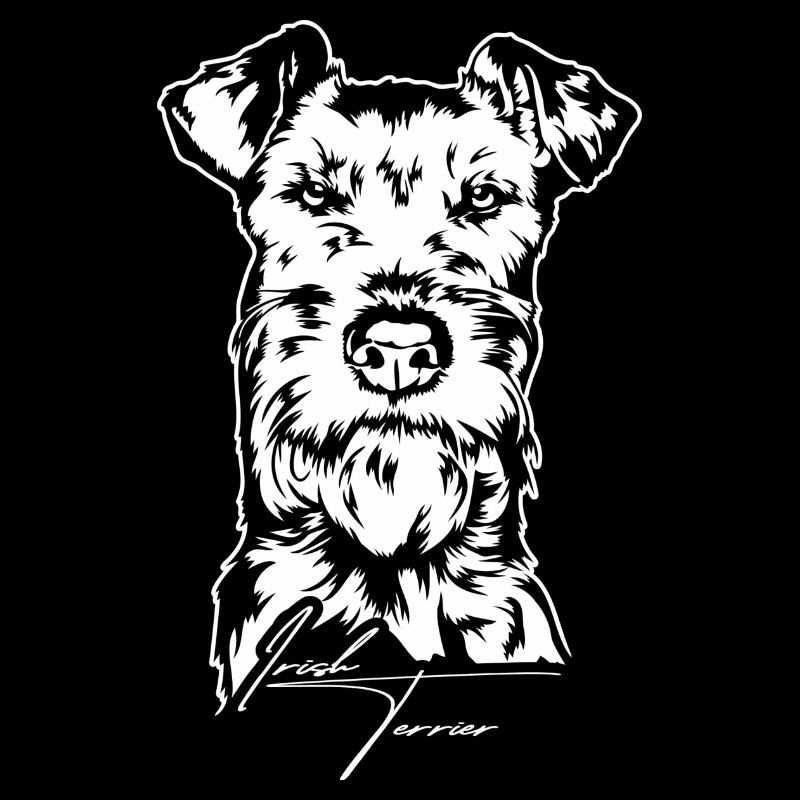 Irish Terrier Portrait Chiens Chien Wilsigns