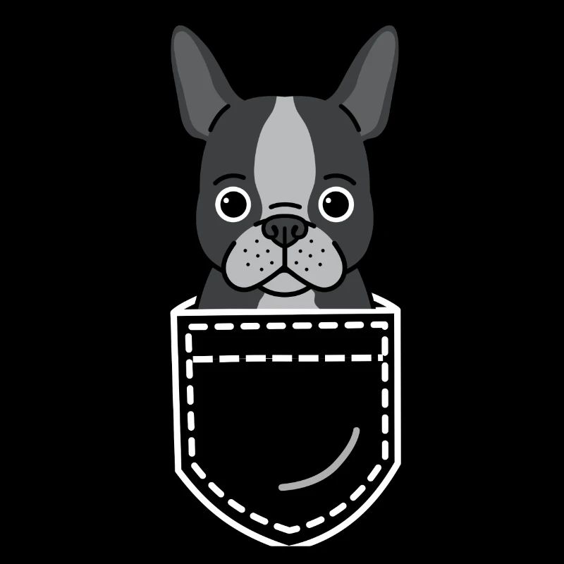Hund Boston Terrier