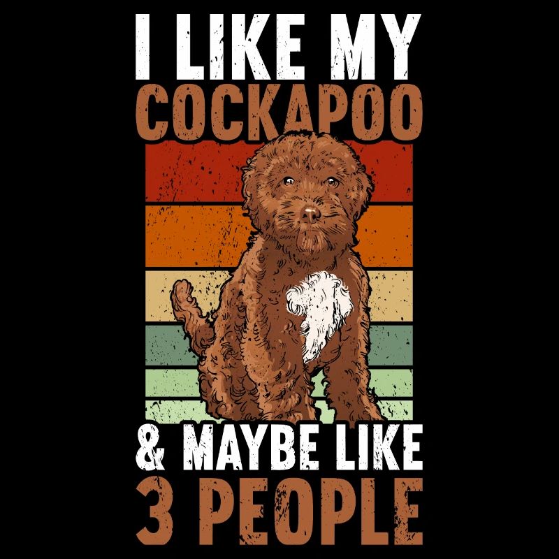 Cockapoo