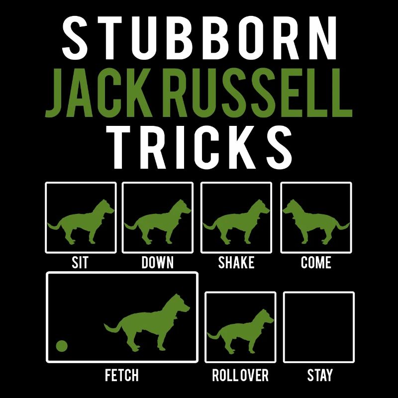 Chien / Jack Russell: Jack Stubborn astuces Russel