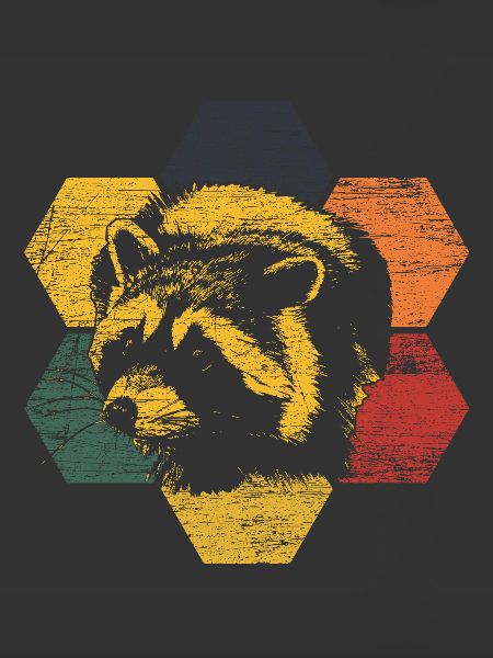 racoon