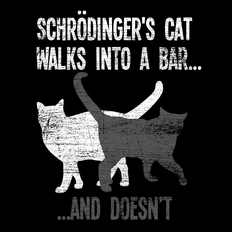 Physik Schrödinger