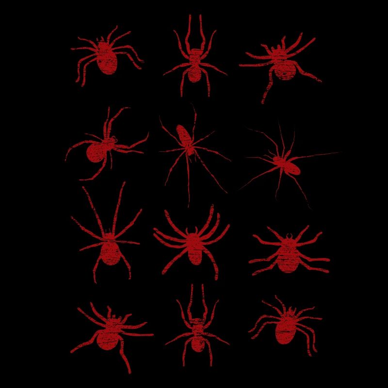 Araignées araignées