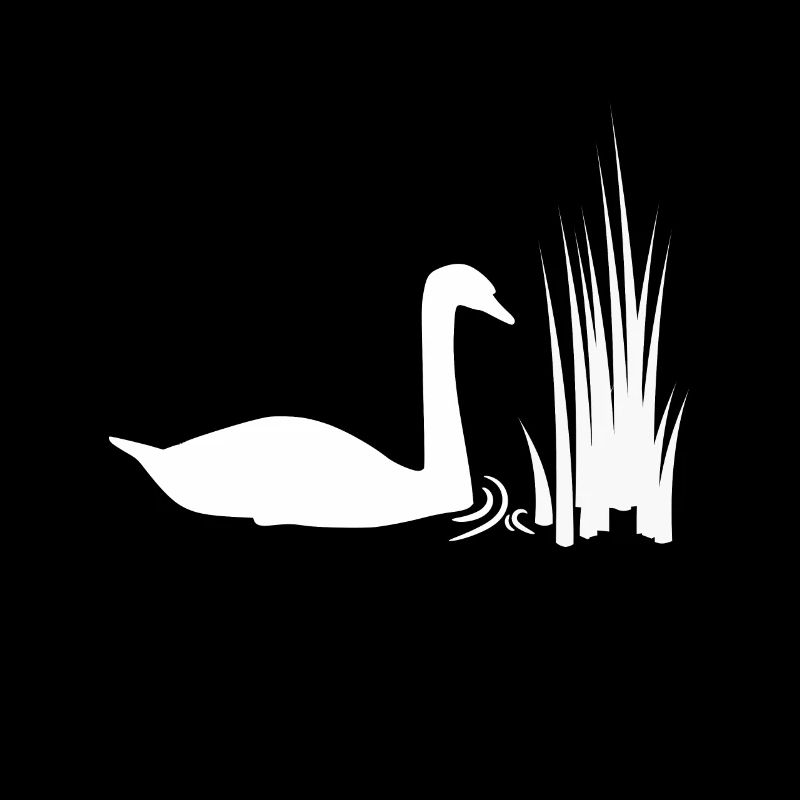 Schwan Teich Schilf