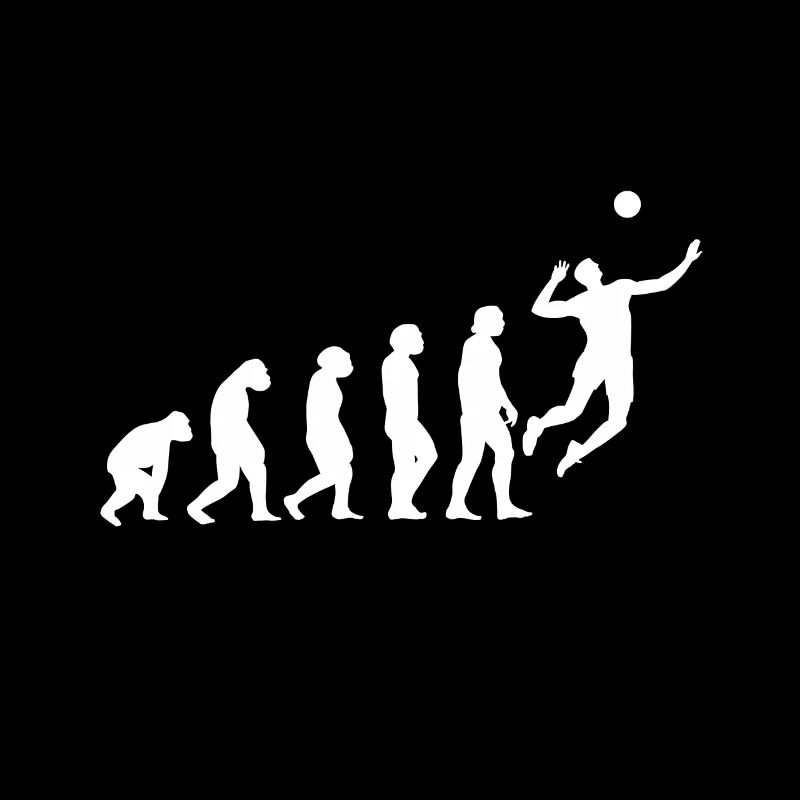 Volleyball Evolution