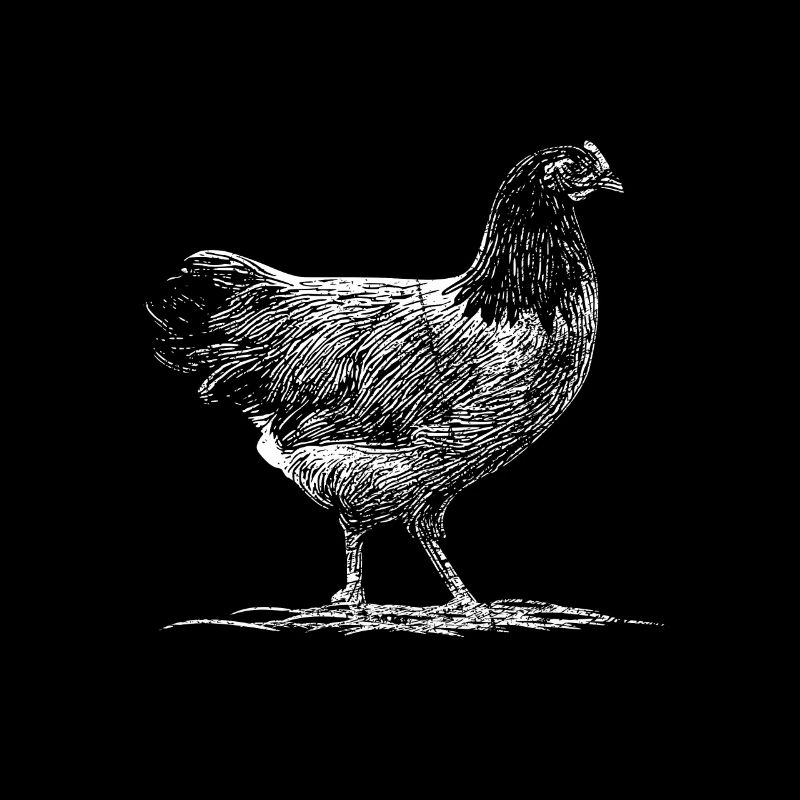 Poulets pré-bourses