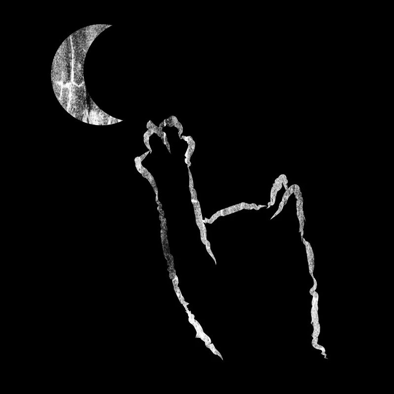 Chat lune