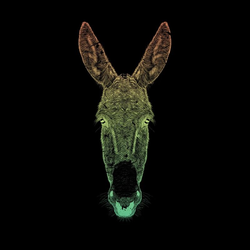 Donkey