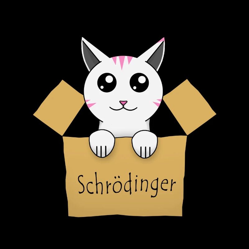 Le chat de Schrödinger dans une boîte