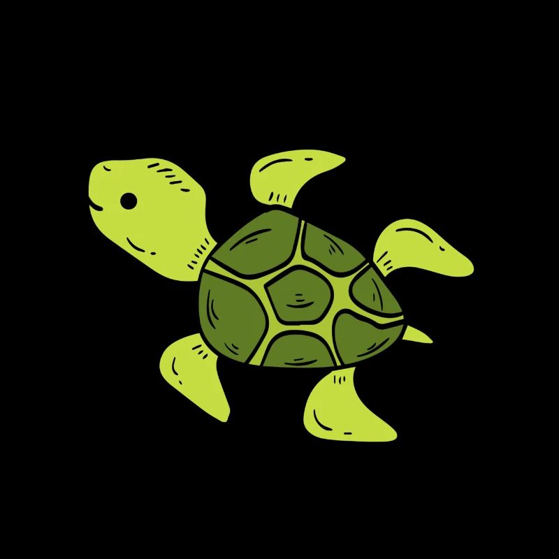 tortue