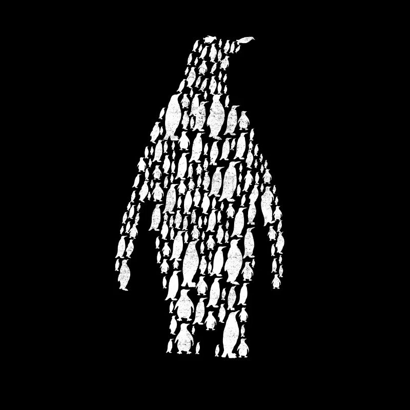 Pinguin Antarktis