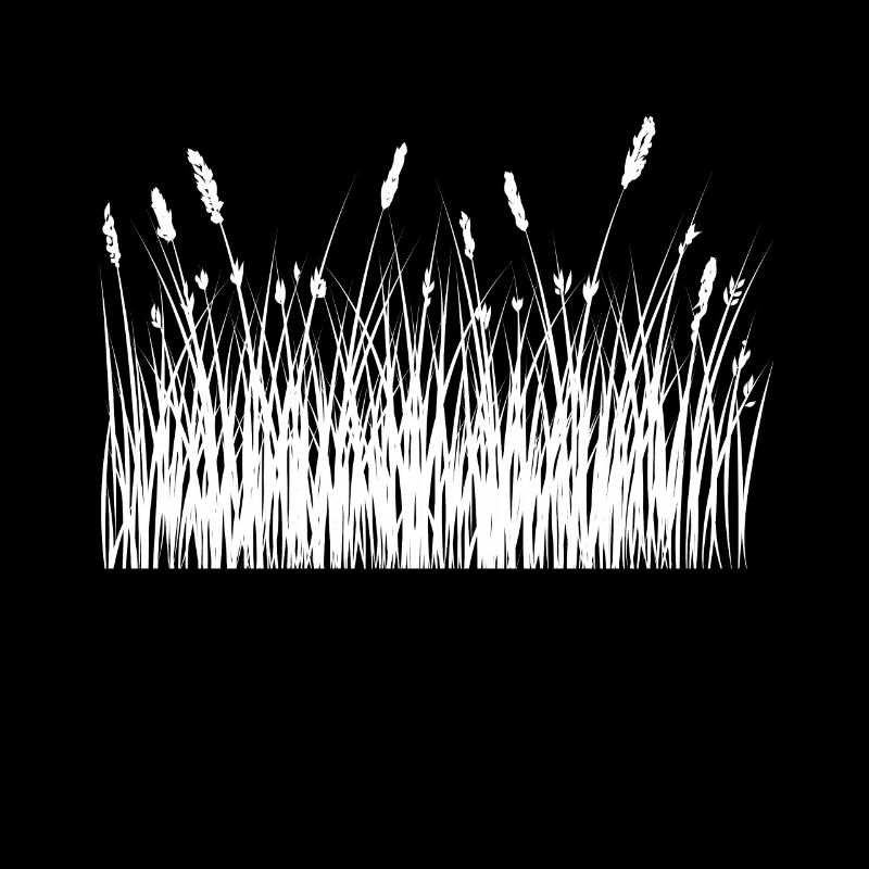 Flora flowers meadow spring