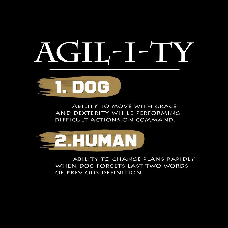 Agility dog training