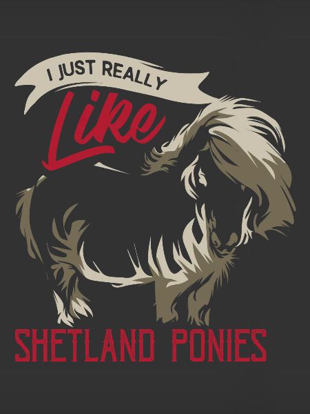 poney Shetland