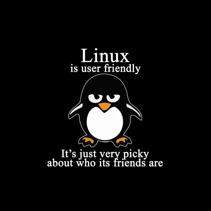 Programming Computer Science Gift · Friendly