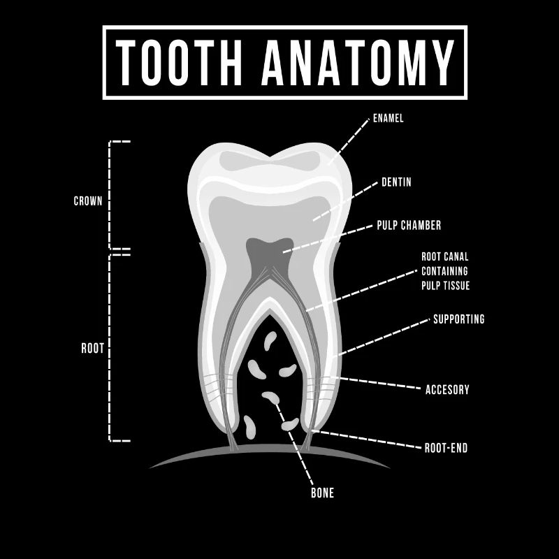dentiste
