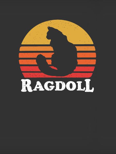 chat ragdoll